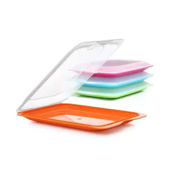TATAY bewaardoos voor vleeswaren 17x25,2x3,2 cm assorti