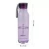 LOCKNLOCK Eco Bottle 550ml paars