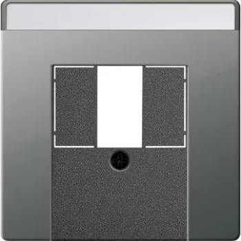 Gira afdekking BSF TAE/USB, edelstaal, 0876600