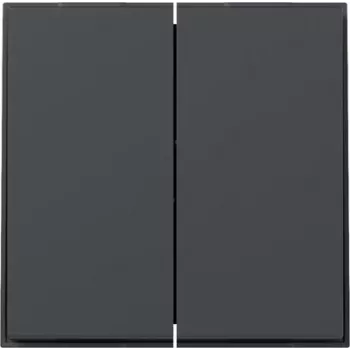 Gira TX44 wip 2-voudig recht, antraciet, 349567