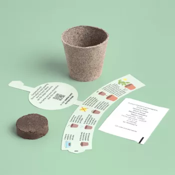 Resetea My First Crops – basilicumkweekset (Erst440)