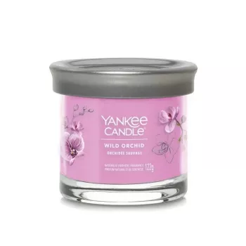 Yankee tumbler-kaars met 1 lont, Wild Orchid
