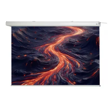 celexon Expert gemotoriseerd projectiescherm, 130" (330 cm), 230 V