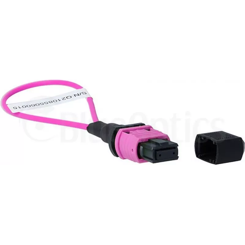 BlueOptics loopback-adapter MPO/MTP multimode OM4
